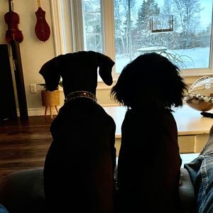 Meet your Posher, Lorna